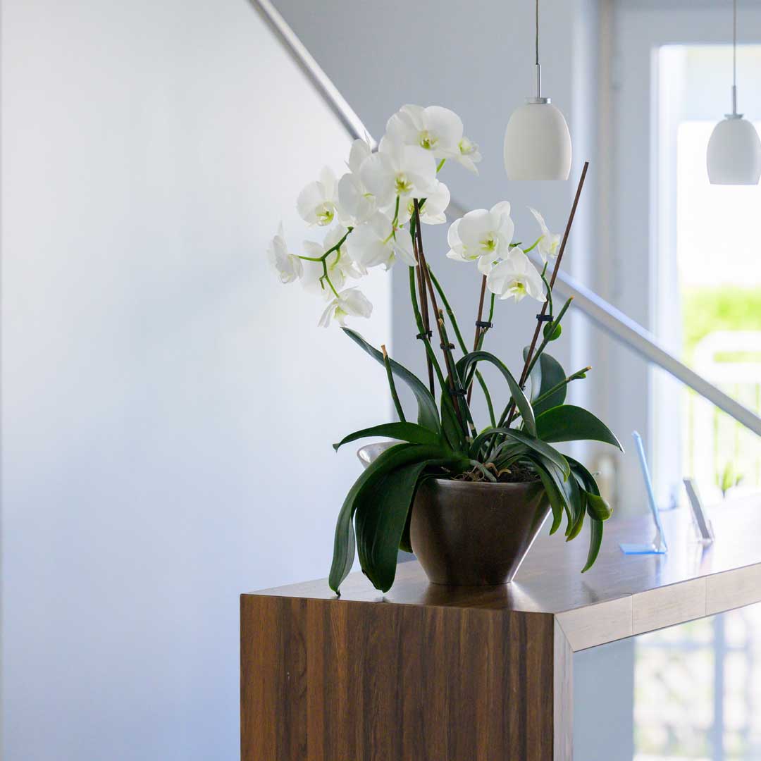 Susanne Fazler - Steuerberaterin - Lange Str. 16, 71116 Gärtringen